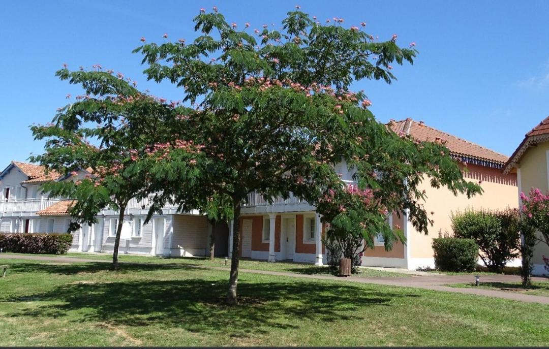 Appartement Au Calme Face Au Lac マルシアック エクステリア 写真